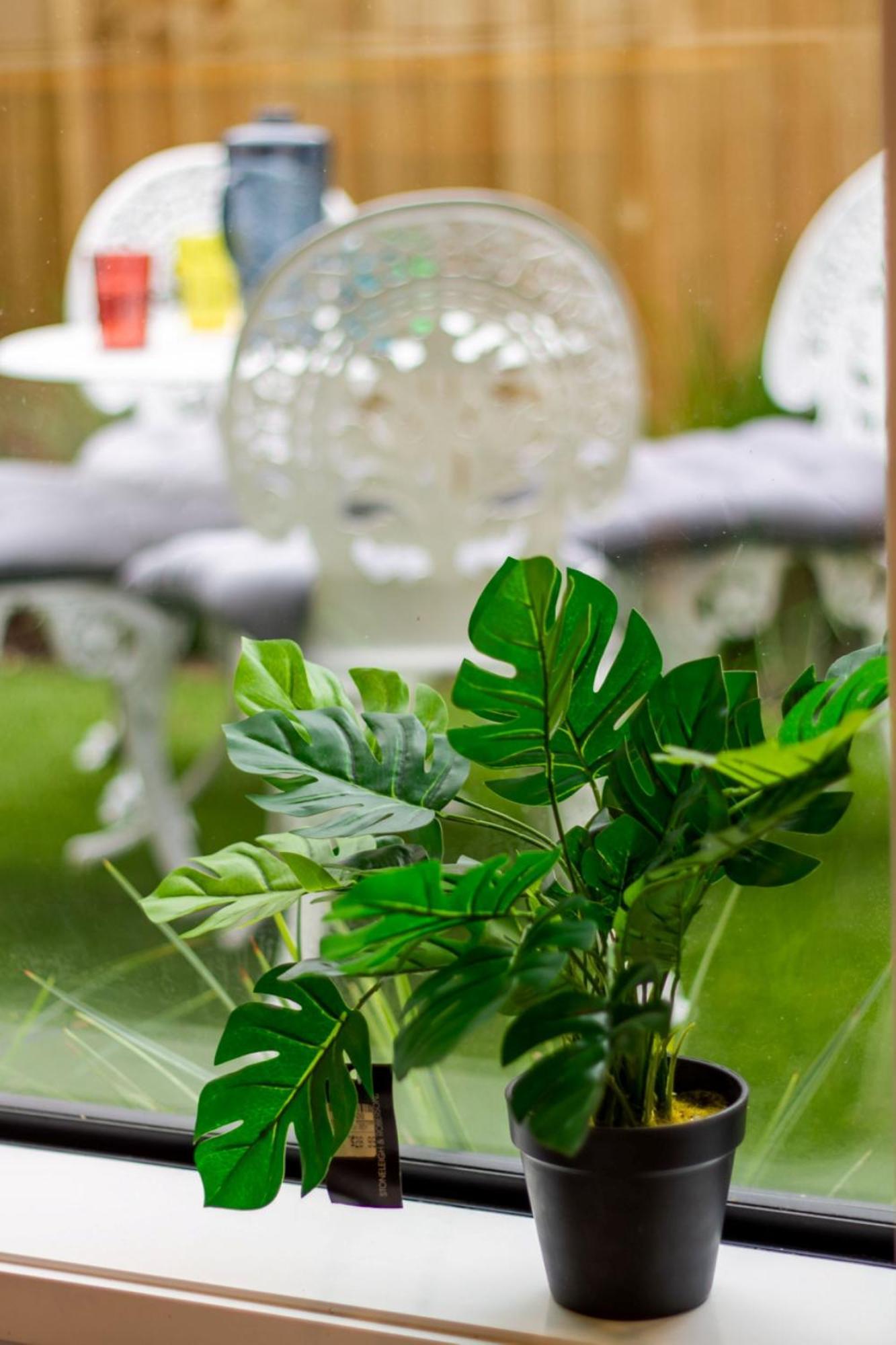 Gorgeous In Green - 2 Bed Central Oasis W/King Bed Christchurch Zewnętrze zdjęcie